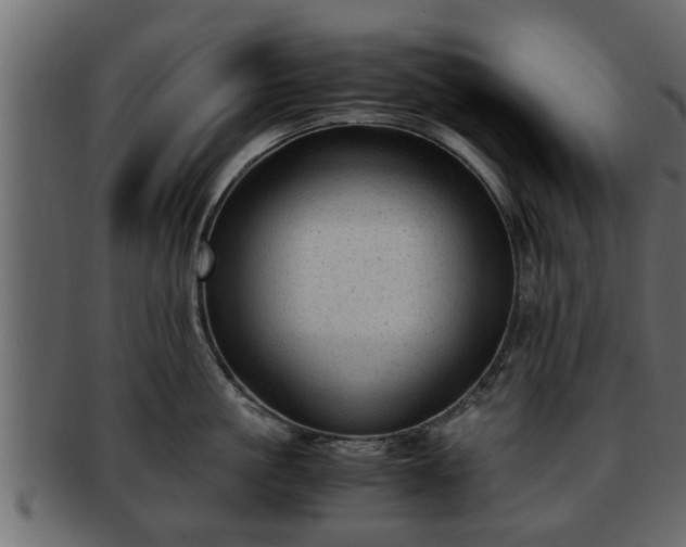 X0000092270861200710041351