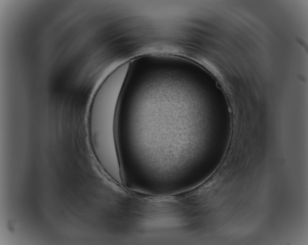 X0000092270864200710041351
