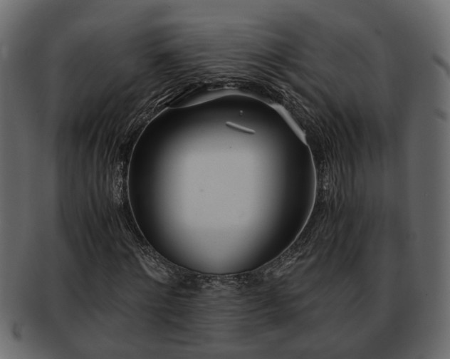 X0000092270868200710041351