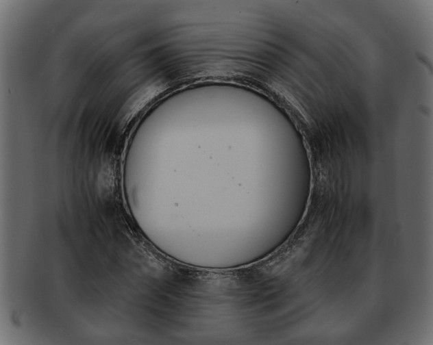 X0000092270874200710041351
