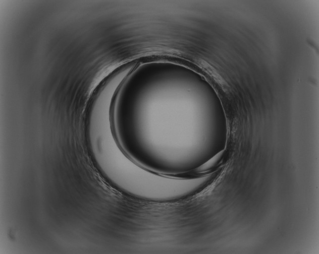 X0000092270877200710041351