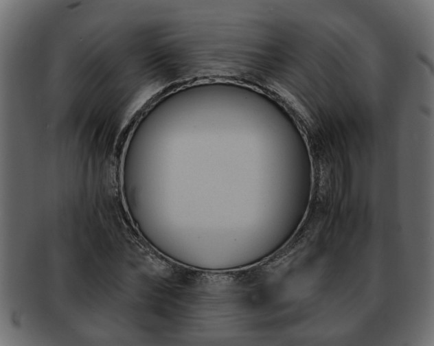 X0000092270878200710041351