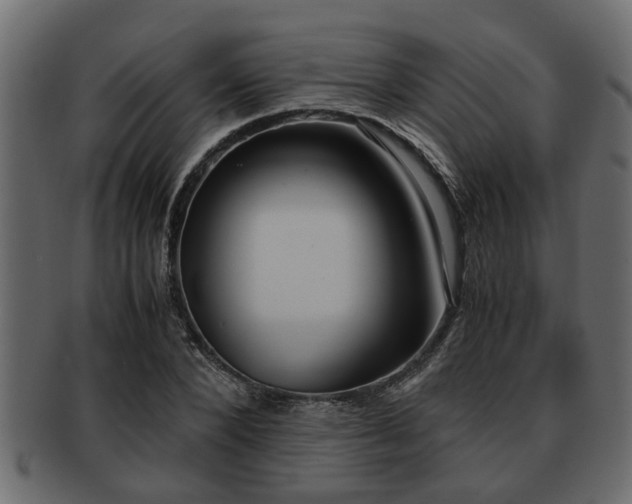 X0000092270880200710041351