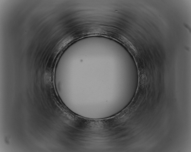 X0000092270882200710041350