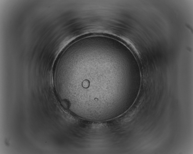 X0000092270887200710041350