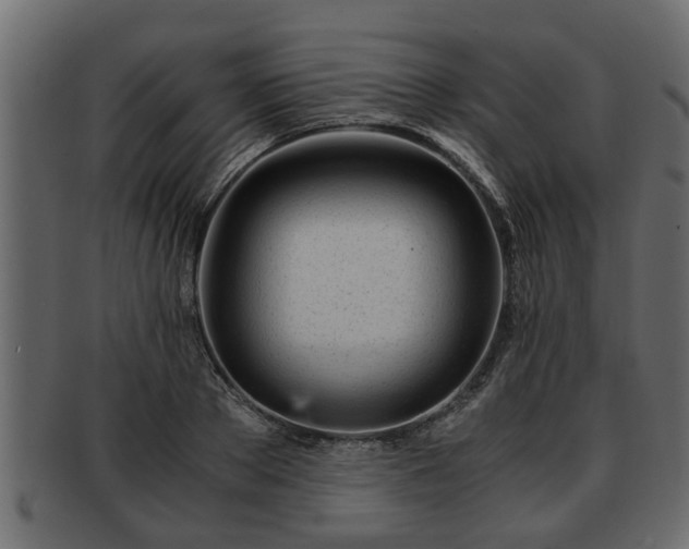 X0000092270889200710041350