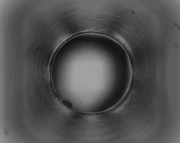X0000092270892200710041350