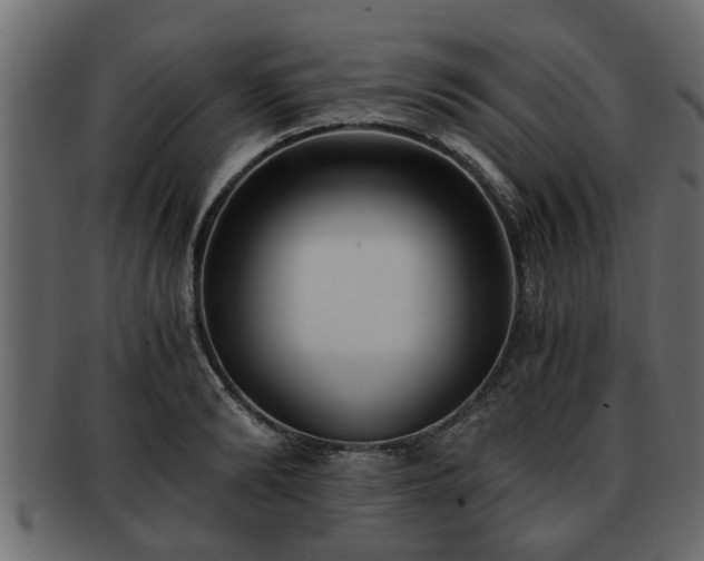 X0000092270894200710041350