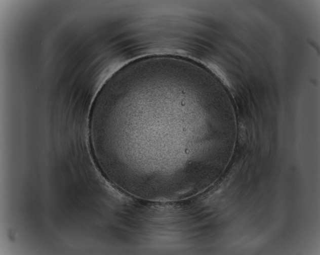 X0000092270895200710041350