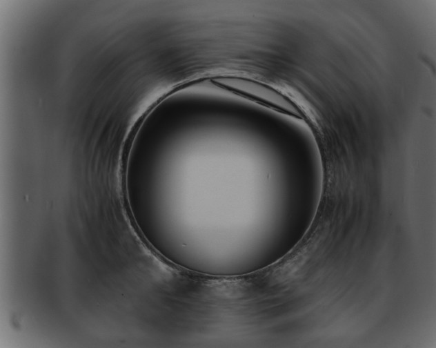 X0000092270902200710041350