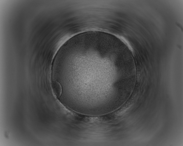 X0000092270903200710041350