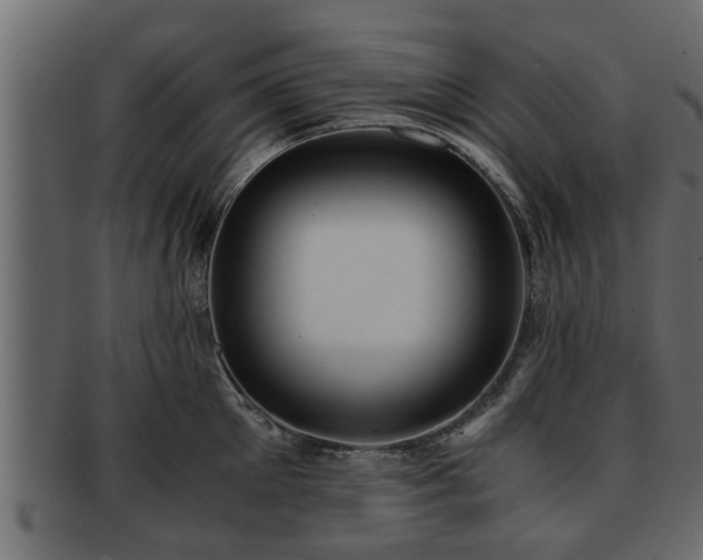 X0000092270905200710041350