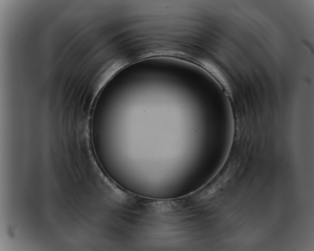 X0000092270906200710041350