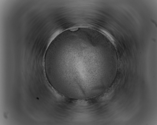 X0000092270907200710041350
