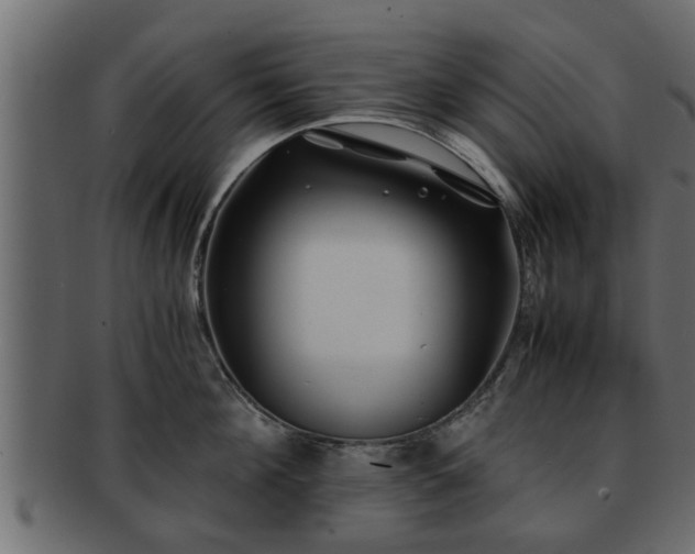 X0000092270908200710041350