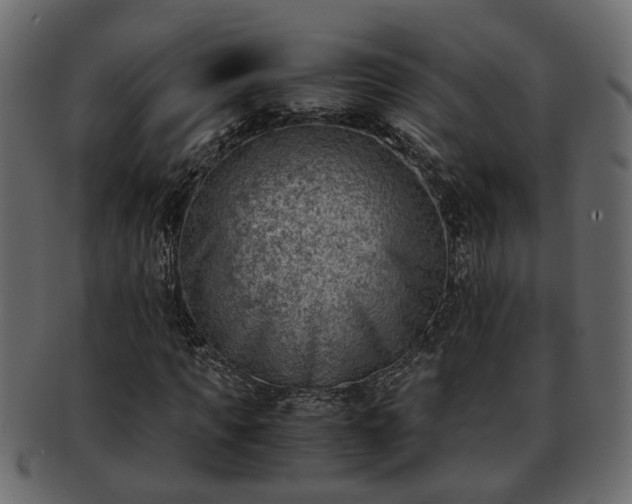X0000092270917200710041350