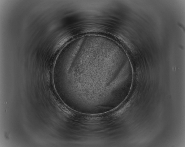 X0000092270921200710041350