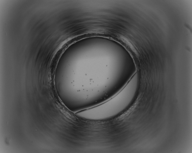 X0000092270923200710041350