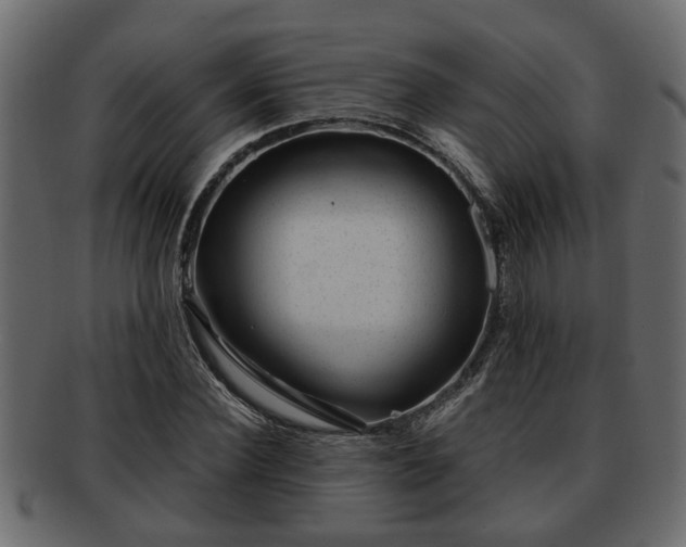 X0000092270924200710041350