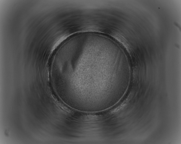 X0000092270925200710041350