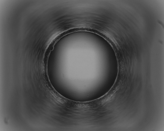 X0000092270927200710041350