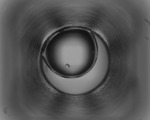 X0000092270928200710041350
