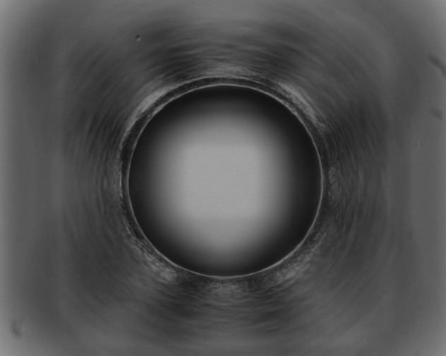 X0000092270931200710041350