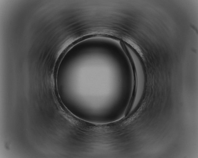 X0000092270936200710041350