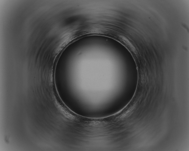 X0000092270938200710041350