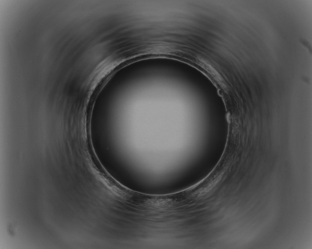 X0000092270939200710041350