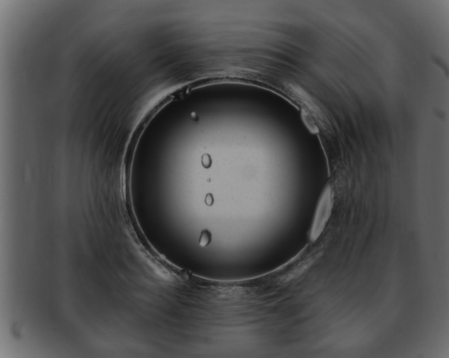 X0000092270940200710041350