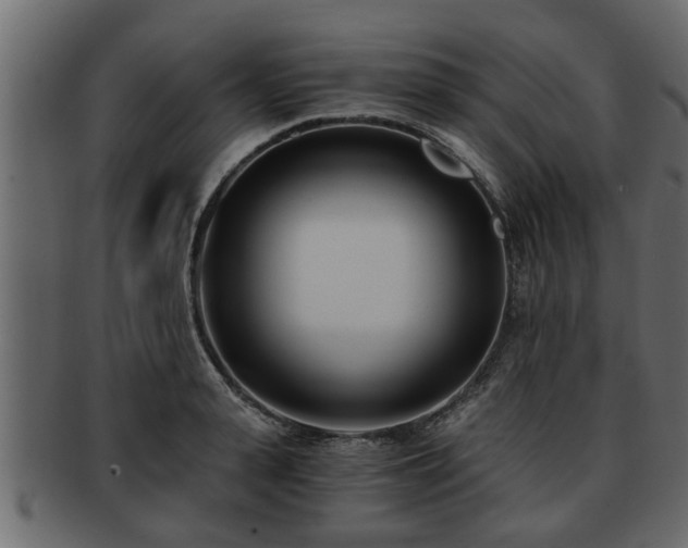 X0000092270943200710041350