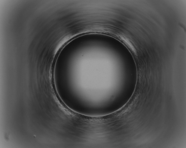 X0000092270944200710041350