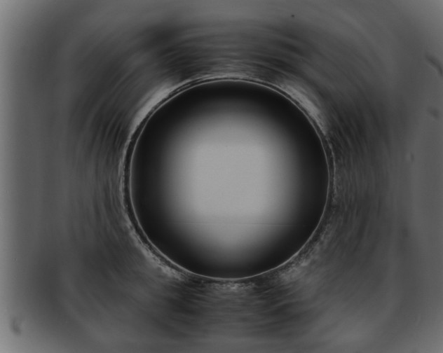 X0000092270949200710041350