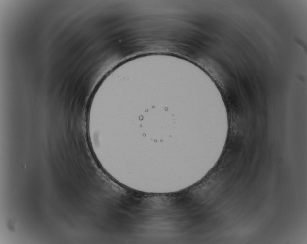 X0000092270950200710041350