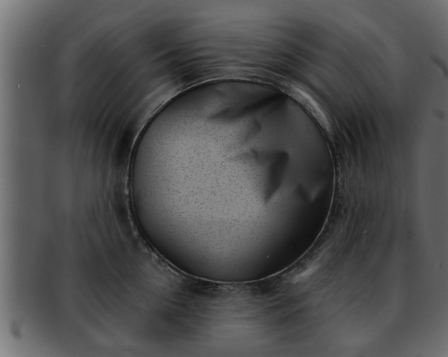 X0000092270954200710041350
