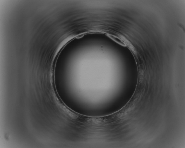 X0000092270955200710041350