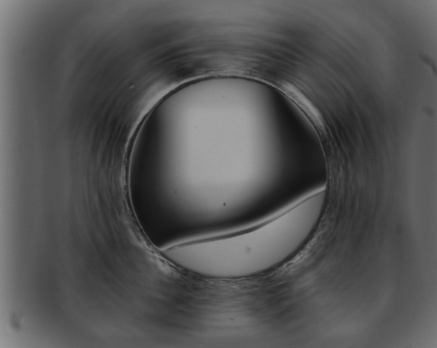 X0000092270956200710041350