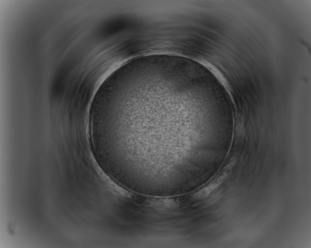 X0000092270957200710041350
