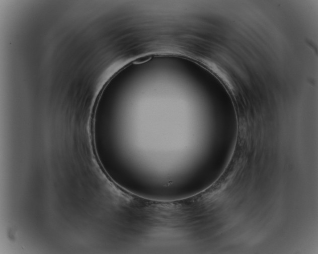 X0000092270959200710041350