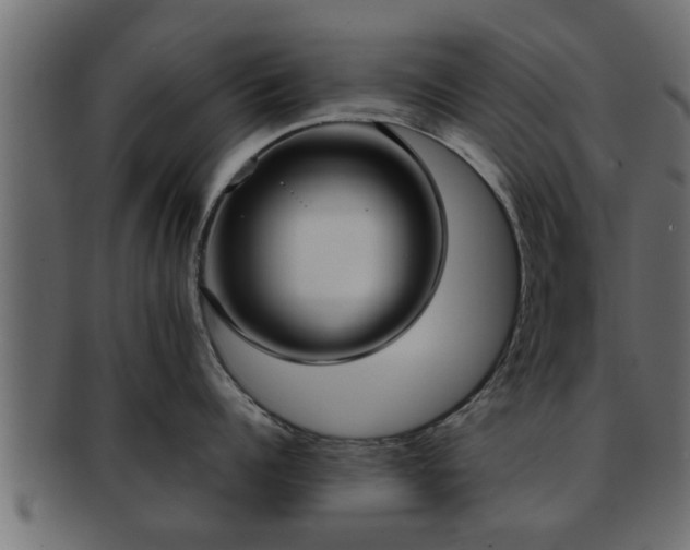 X0000092270960200710041350