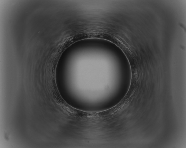 X0000092270961200710041350
