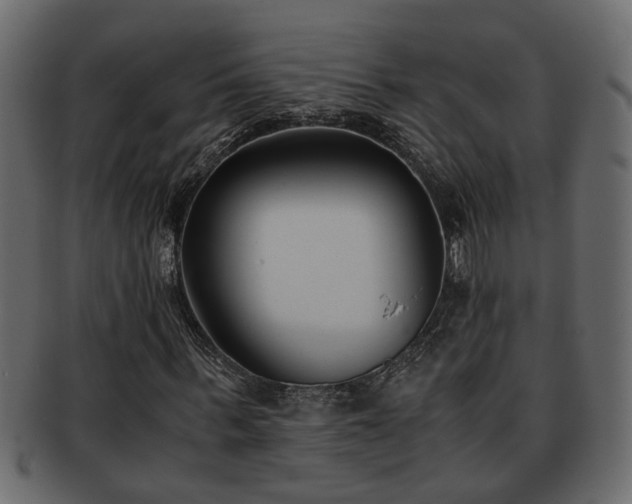 X0000092270963200710041350