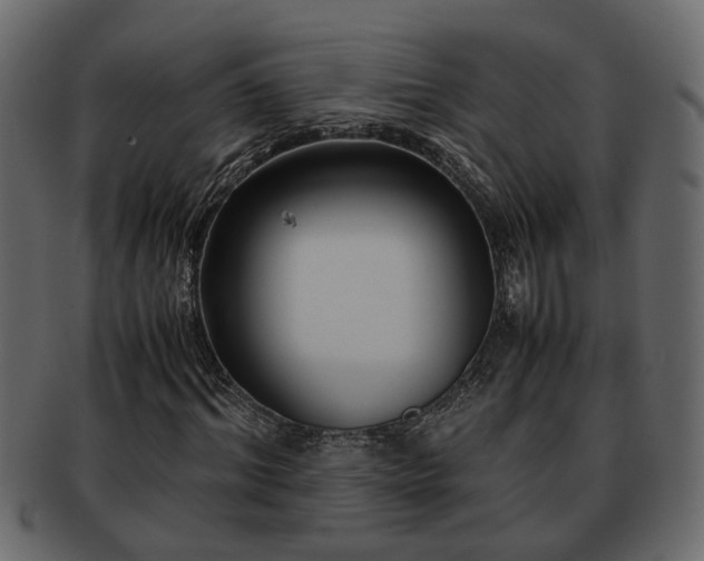 X0000092270964200710041350