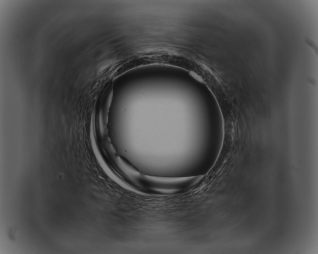 X0000092270965200710041350