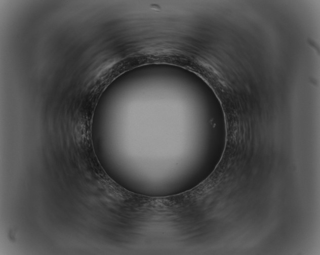 X0000092270966200710041350