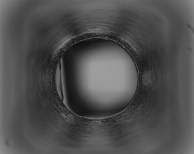 X0000092270968200710041349