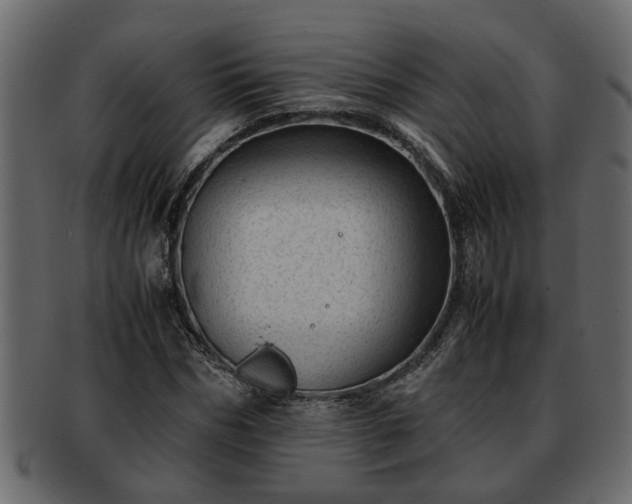 X0000092270970200710041349