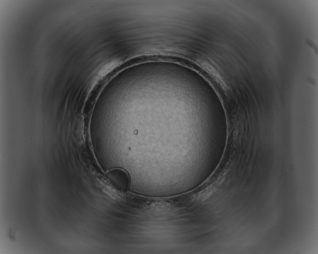 X0000092270974200710041349