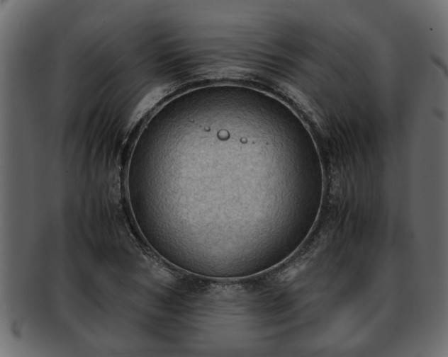 X0000092270978200710041349